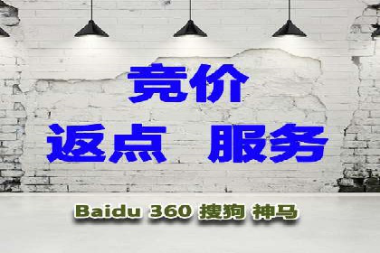 解析某某SEM服务公司的广告投放策略与效果评估